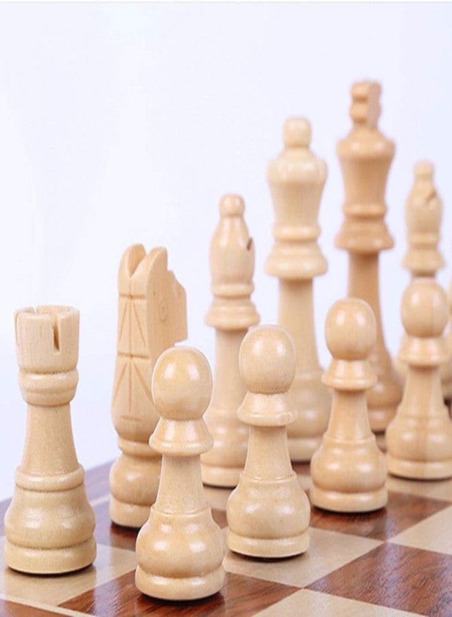 Sage Square Natural Calcium Source Cuttlebone Fish, Natural Mineral Block, Calcium, for Birds, Parrot (200grm) - Image 4